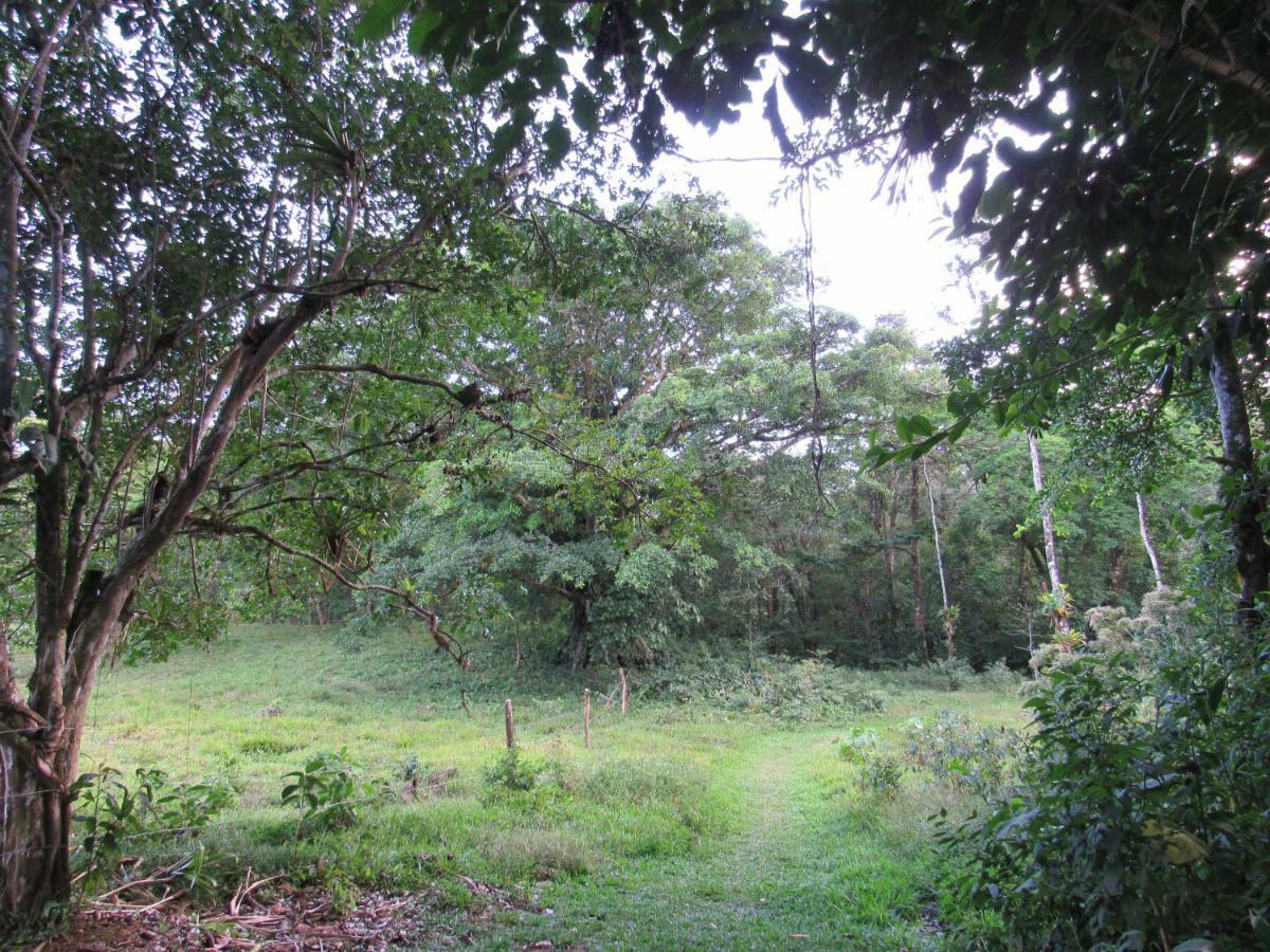 Finca Verde Lodge Bijagua Exterior foto